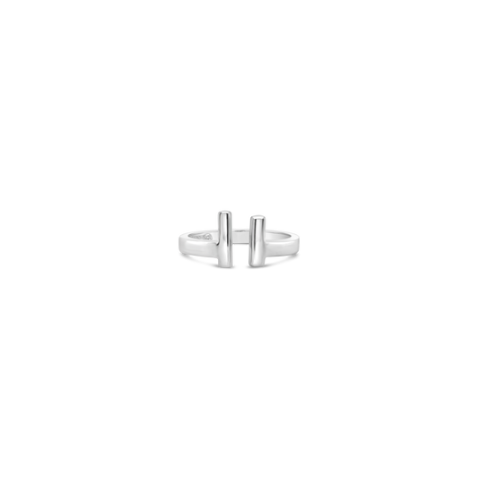 Ezran's Crown Ring, The Dragon Prince
