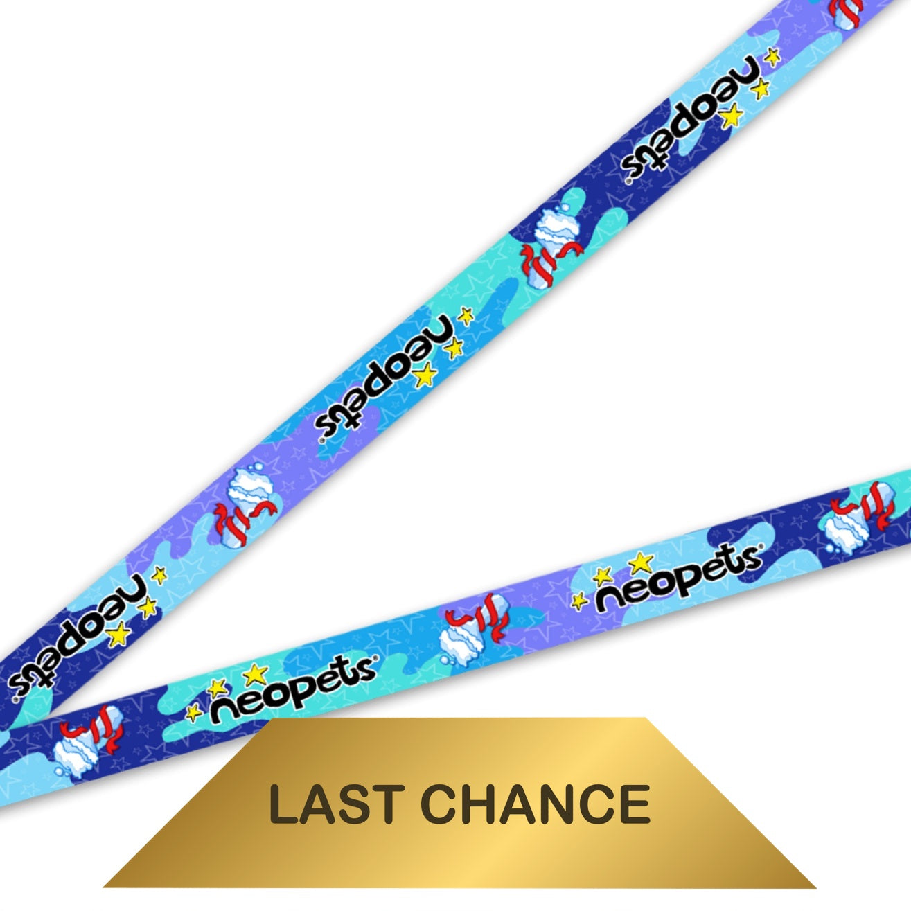 Snow Paintbrush Lanyard